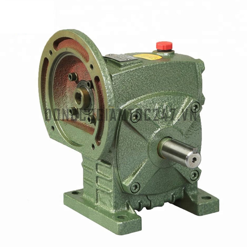 HỘP GIẢM TỐC TRỤC VÍT WPDS