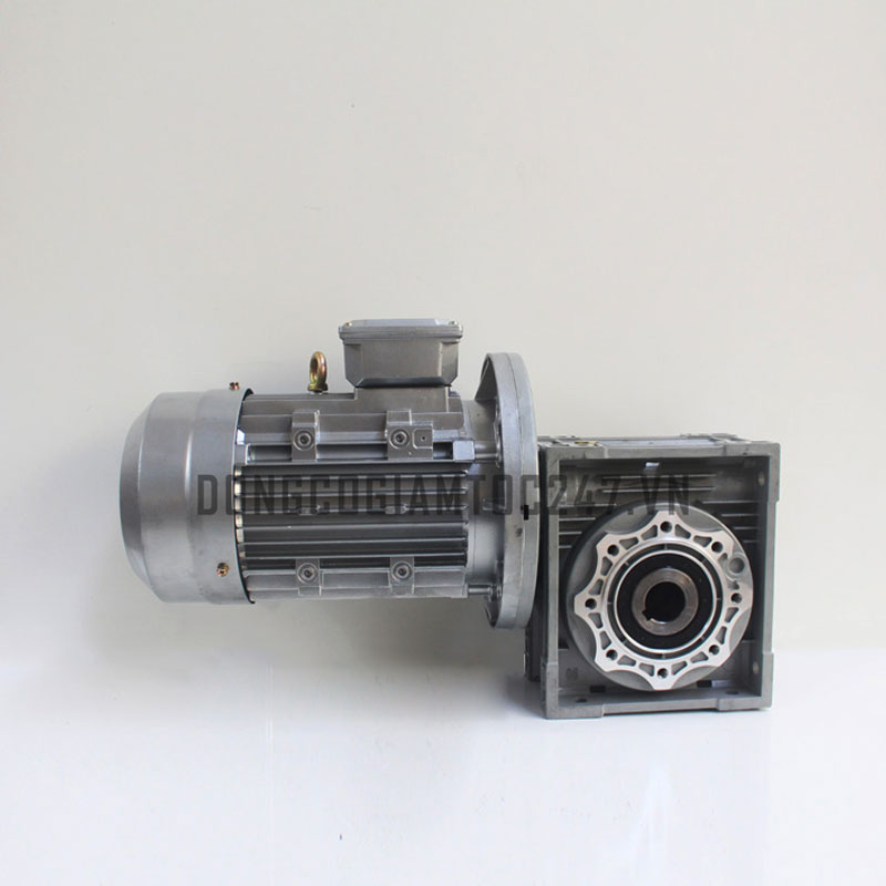 MOTOR GIẢM TỐC TRỤC CỐT ÂM